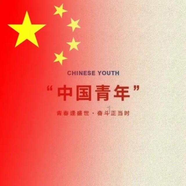 甲信息错误用了和乙相同的身份证缴社保，几年后停缴。乙在不知情下又续缴十五年。怎样处理？游戏画面